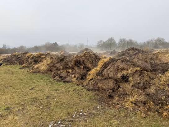 Zwangsversteigerung in Schernfeld – Detailaufnahme der Mistauflage auf Flurstück 506