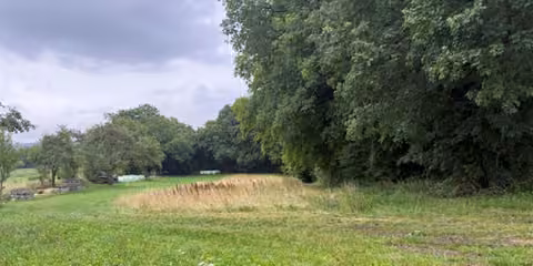 Zwangsversteigerung Landwirtschaft in Dietfurt a. d. Altmühl, Oberbürg – Blick auf das begrünte Flurstück mit Gehölzbestand am Rand.