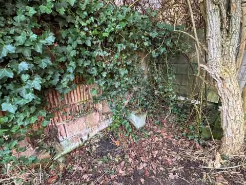 Zwangsversteigerung in Hemer, Becke – Detailaufnahme des maroden Mauerwerks des zugewachsenen Kellergeschosses.