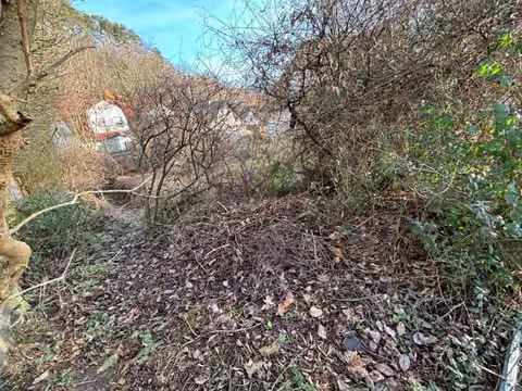 Zwangsversteigerung in Hemer, Becke – Blick über das Grundstück auf das zugewachsene Kellergeschoss.