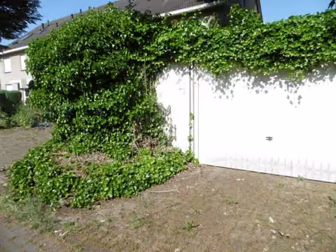 Zwangsversteigerung Reihenhaus in Herne, Wanne – Stark mit Efeu überwachsene Garage und Garagentor.