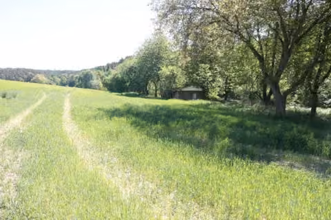 Zwangsversteigerung Landwirtschaft in Maxhütte-Haidhof, Leonberg – Blick über das Grundstück mit Ackerfläche und Baumbestand.