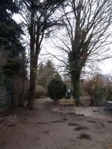 Zwangsversteigerung Einfamilienhaus in Dieburg – Nordostansicht der Gartenseite mit überdachter Terrasse.