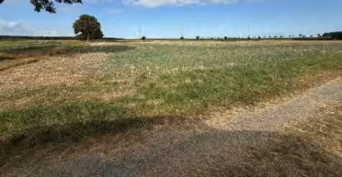 Zwangsversteigerung Grundstück in Burgdorf, Nordassel – Ackerfläche des Flurstücks 41/2 in Nordassel mit Blickrichtung Westen.