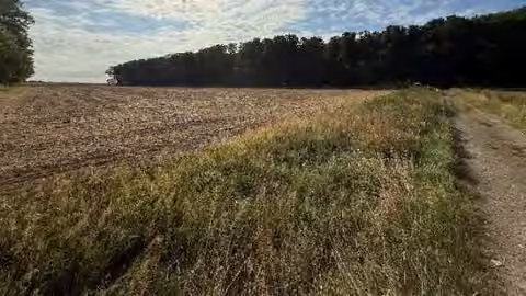 Zwangsversteigerung Grundstück in Burgdorf, Nordassel – Ackerland des Flurstücks 32 mit Blickrichtung Südosten.
