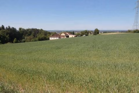 Zwangsversteigerung Landwirtschaft in Maxhütte-Haidhof, Leonberg – Überblick über das Ackerland mit Fernsicht