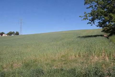 Zwangsversteigerung Landwirtschaft in Maxhütte-Haidhof, Leonberg – Blick von der südöstlichen Ecke hangaufwärts nach Norden