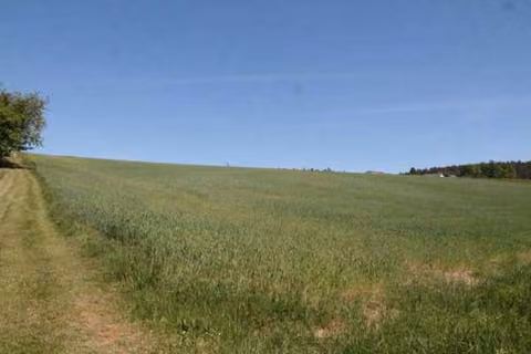 Zwangsversteigerung Landwirtschaft in Maxhütte-Haidhof, Leonberg – Blick von der südwestlichen Grundstücksecke hangaufwärts nach Nordosten