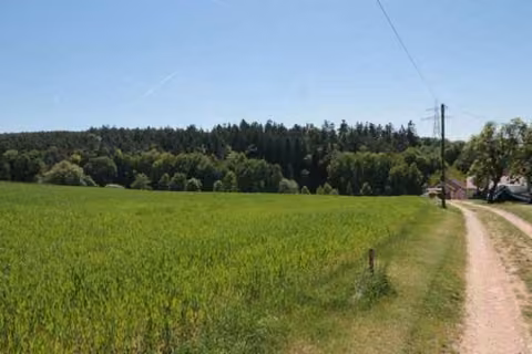 Zwangsversteigerung Landwirtschaft in Maxhütte-Haidhof, Leonberg – Blick vom nordwestlichen Bereich hangabwärts nach Süden