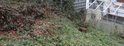 Zwangsversteigerung Einfamilienhaus in Motten – Süd-West-Ansicht der Gebäuderückseite mit Gartenbereich.