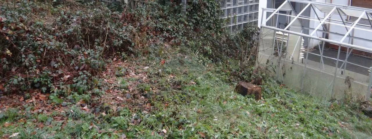 Zwangsversteigerung Einfamilienhaus in Motten – Süd-West-Ansicht der Gebäuderückseite mit Gartenbereich.