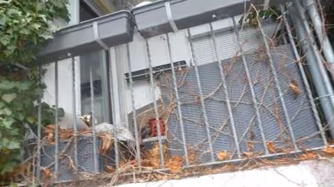 Zwangsversteigerung Einfamilienhaus in Hamburg, Finkenwerder – Rückwärtiger Grundstücksbereich und Gartenlandfläche des Flurstücks 5527.