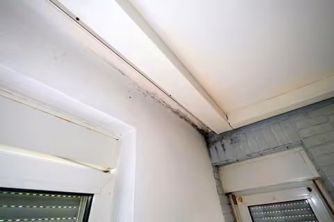 Zwangsversteigerung Eigentumswohnung in Frankfurt am Main, Zeilsheim – Detailaufnahme von Schimmelbildung und Versporung an Decke und Wand.