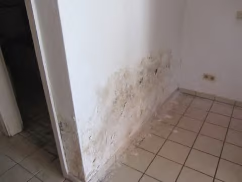 Zwangsversteigerung Wohn-/Geschäftshaus in Groß-Gerau – Massiver Nässeschaden und Schimmelbefall in Wohnung 3 von Gebäude 4.